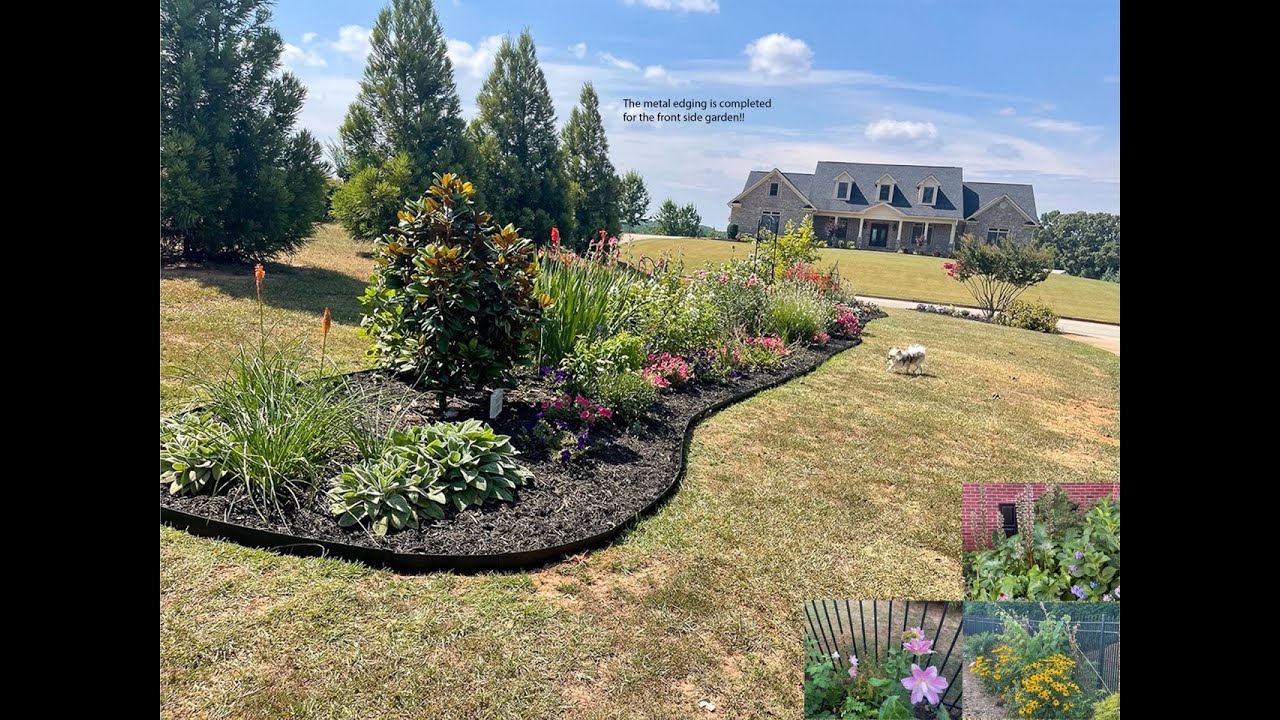 End of June 2024 Garden Tour and Update on steel edging for front side garden 🌺☀️