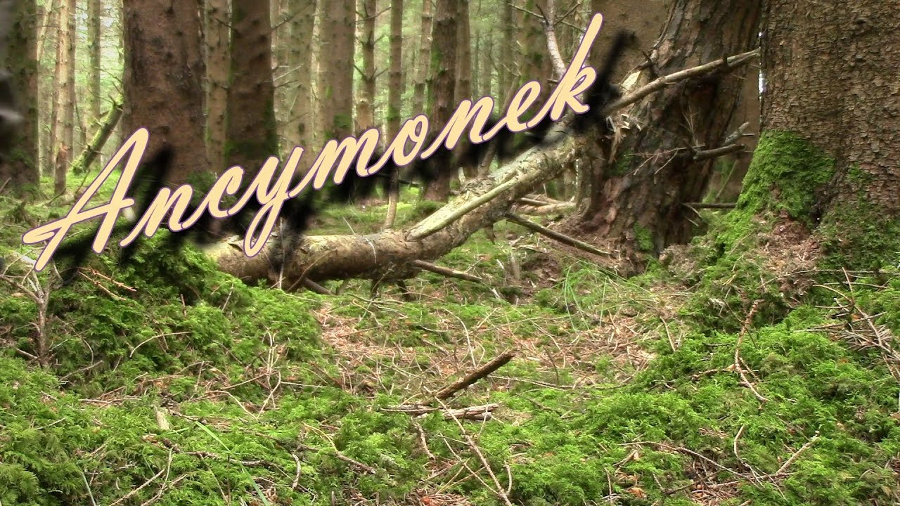Incredible evolution of pikes - Blessington, Ireland-