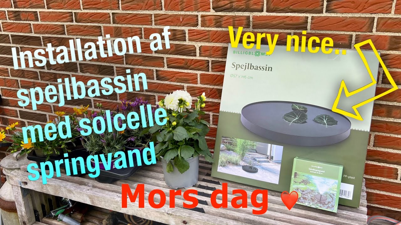 Ud i haven - Afsnit 7 💦 Spejlbassin med springvand ⛲️🌸