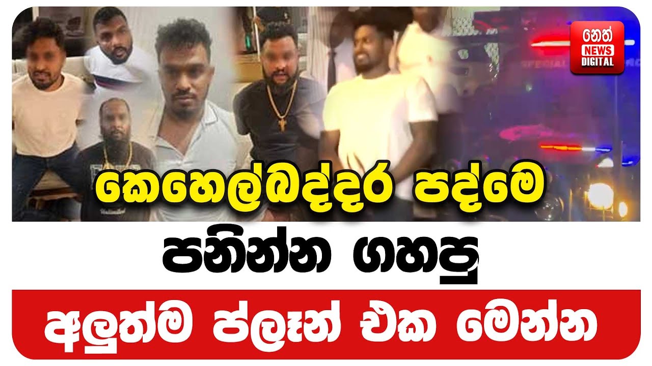 කෙහෙල්බද්දර පද්මෙ පනින්න ගහපු අලුත්ම ප්ලෑන් එක මෙන්න