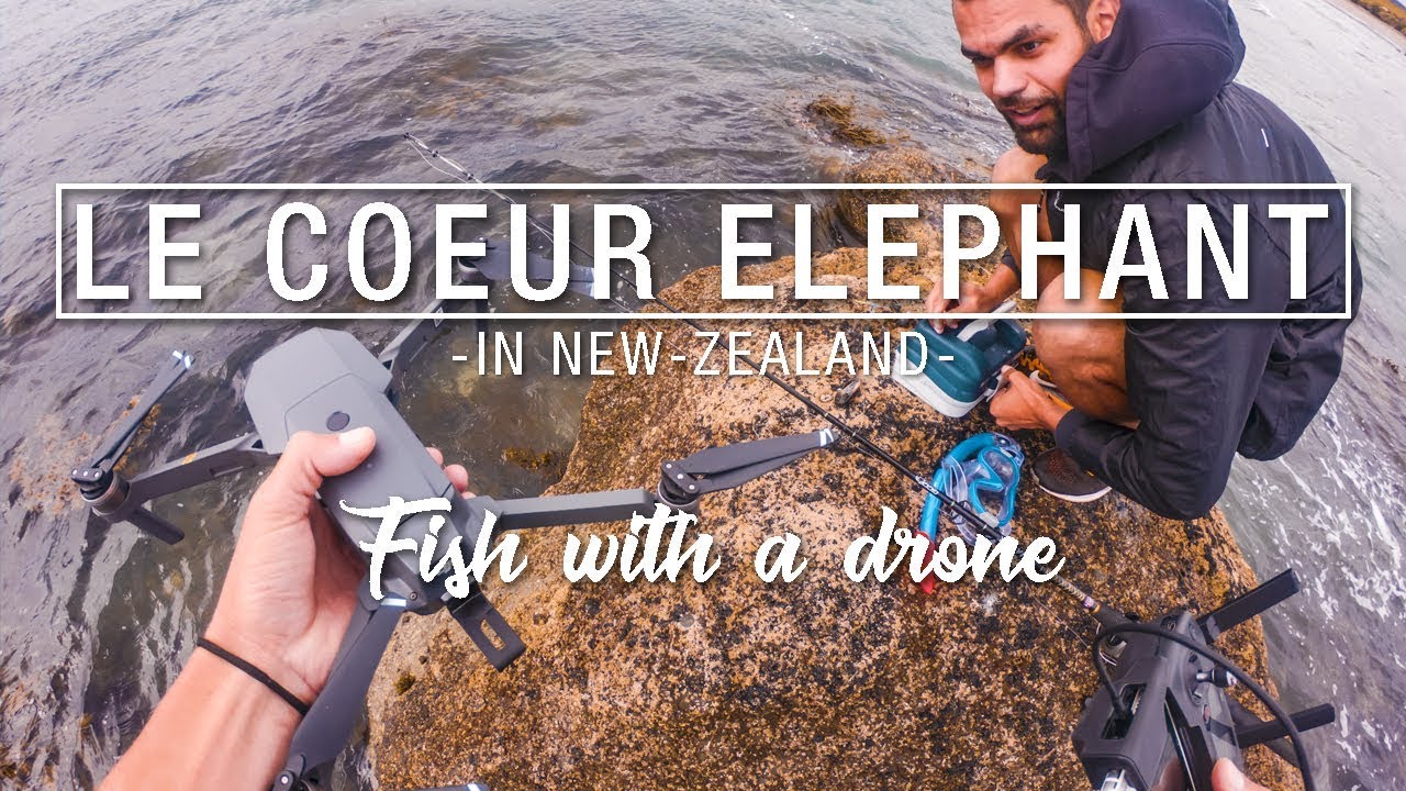 la pêche au drone, on ne pensait pas pêcher ça ! || dji mavic pro