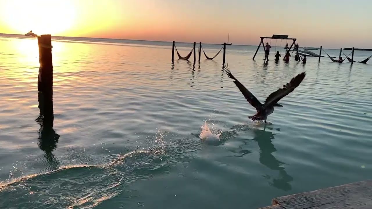 CAYO CAULKER 