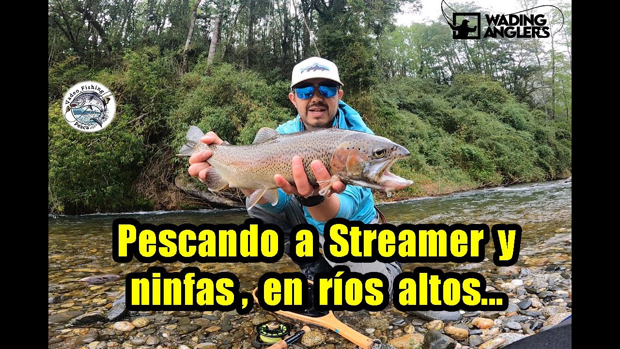 Pescando a Streamer y ninfas en ríos altos... Pesca con mosca en ríos del sur de Chile.