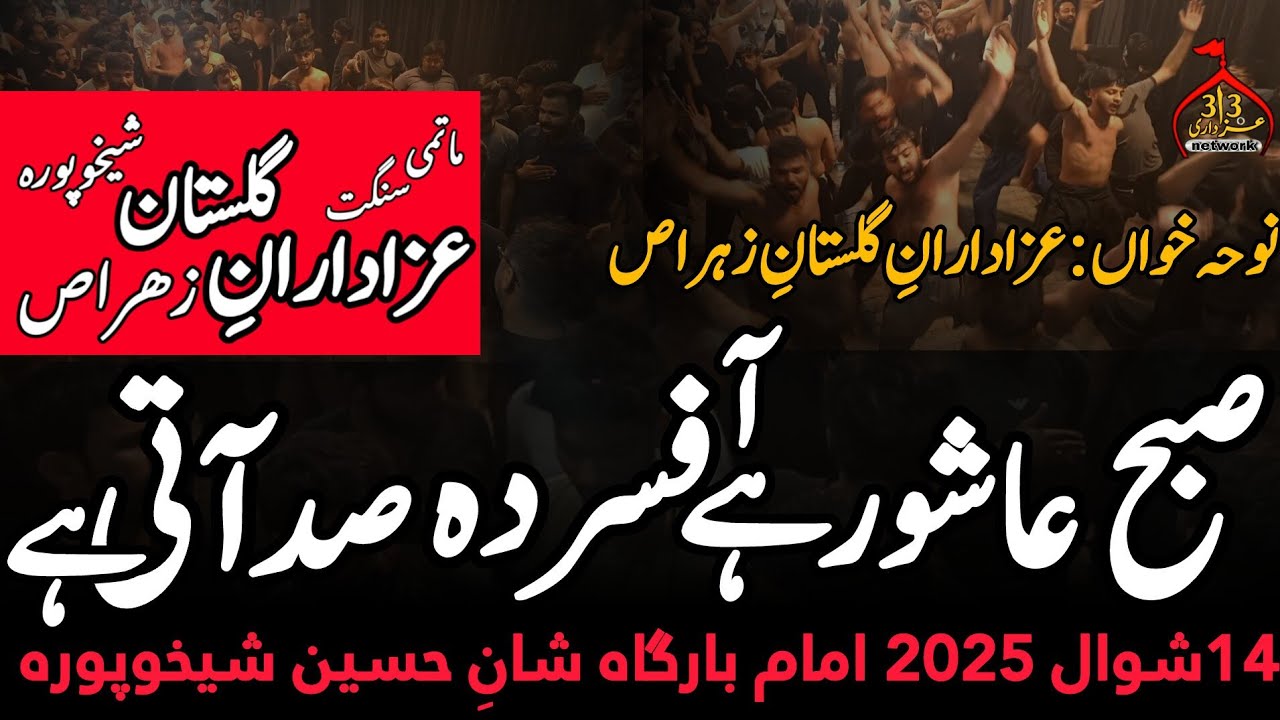 Noha Subhe Ashur Hai Afsurda Saba Aati Hai | Matmi Noha 2025 | Azadaran-e-Gulstan-e-Zahra Sheikhpura