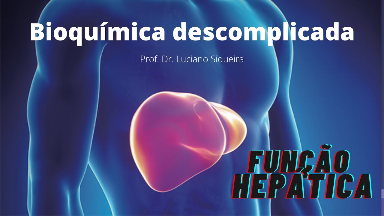4 - Bioquímica descomplicada: Função hepática