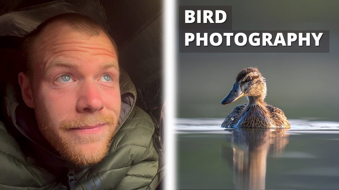 Relaxing morning with WATERFOWL || Bird photography || White-tailed eagle
