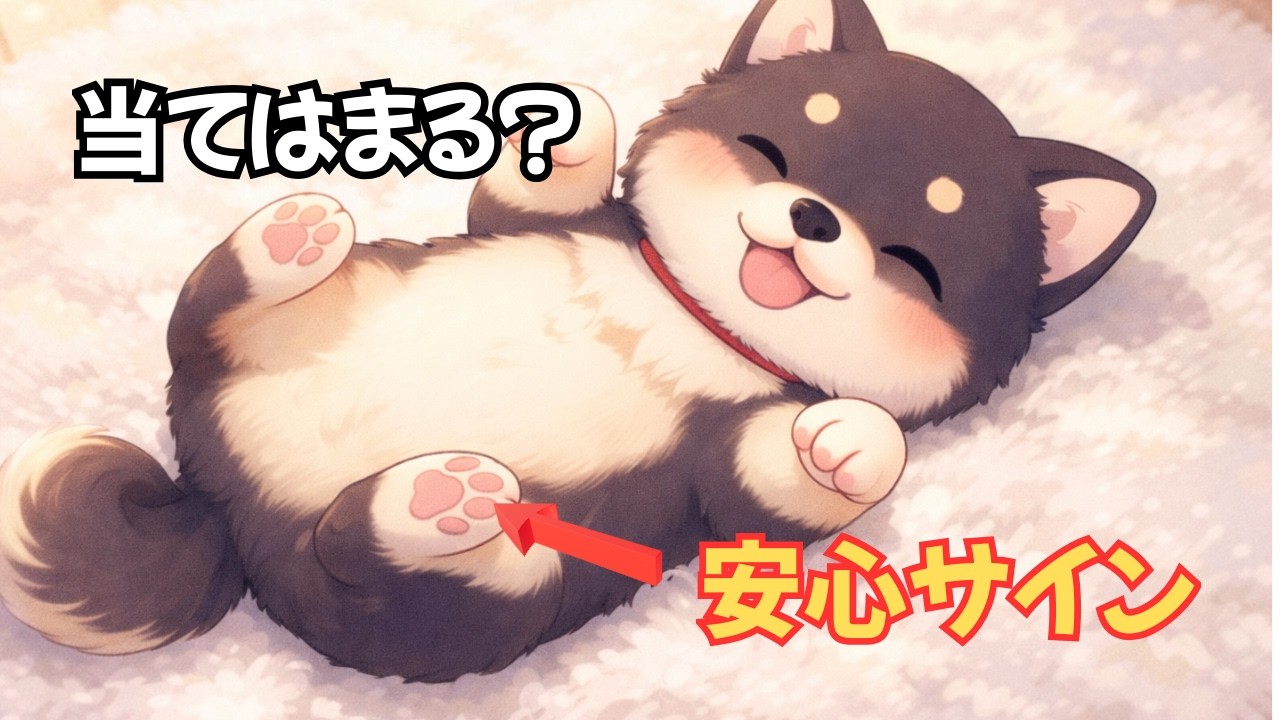 1つでも当てはまればOK｜愛情たっぷりに育った犬の「信頼サイン」7選
