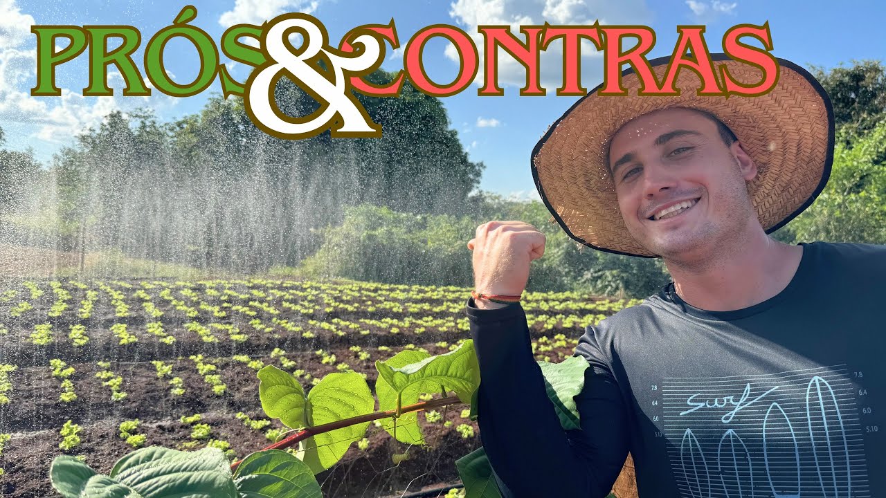 IRRIGAÇÃO BARATA PARA HORTA