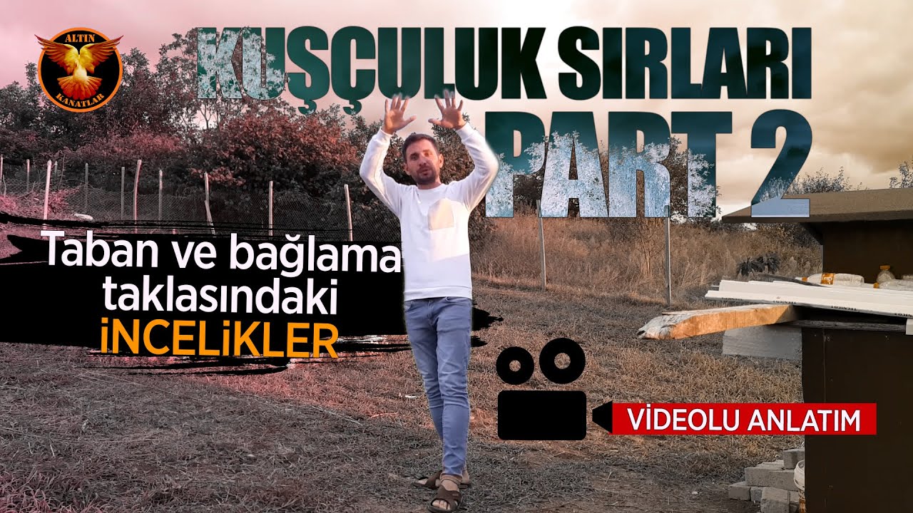 Kuşçuluk Sırları PART 2 / Altın Kanatlar