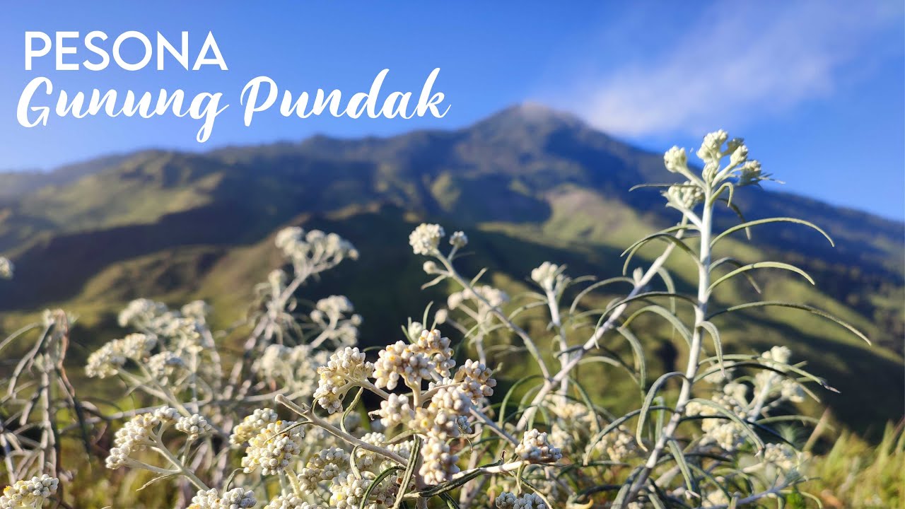 PENDAKIAN GUNUNG PUNDAK VIA TAHURA - si kecil yang menawan (Upacara Kemerdekaan RI ke 77)