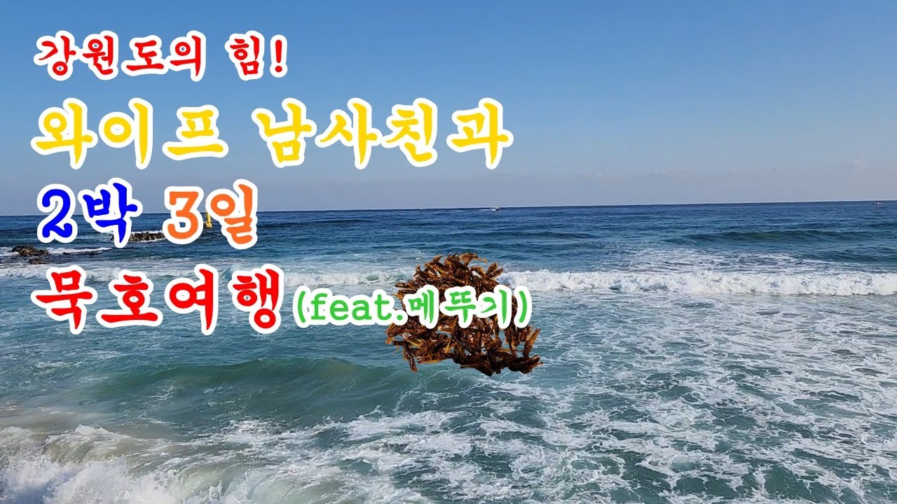강원도의 힘! 이번에도 와이프 남사친과 함께하는 무계획 독서 힐링 낭만 묵호여행 그리고 메뚜기...