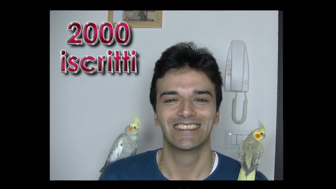 Storia Vera e Commovente. Un Pappagallo nasce malformato ma......
