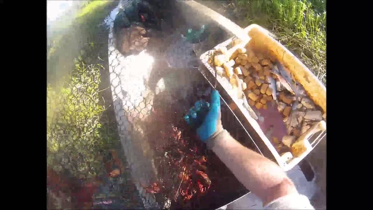crawfish june 46 sacks