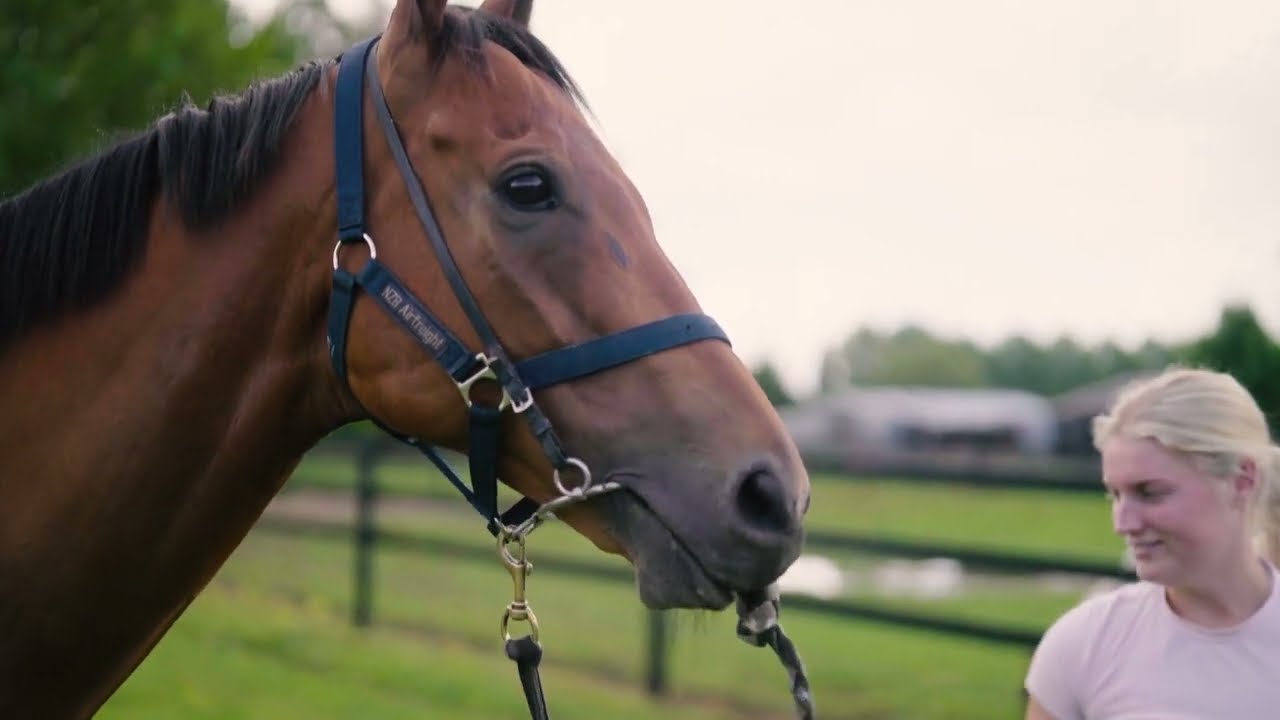 An update on Pier ahead of BCD Group Sprint
