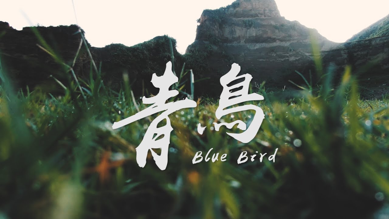青鳥 Blue Bird Naruto Shippuden | 【Violin Cover by AnViolin】 Ft.KE and You Shun