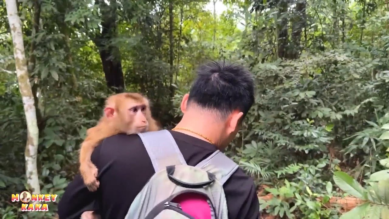 Момент, когда папа нашел Обезьянку Кака в лесу, сделал его очень счастливым.
