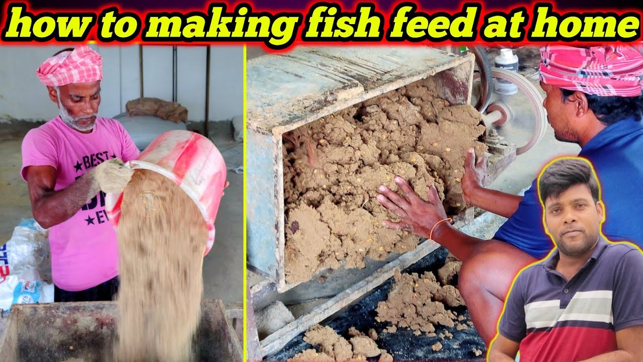 Machhali ke liye homemade fish feed kaise banaya jata hai | how to making fish feed #fishinfo