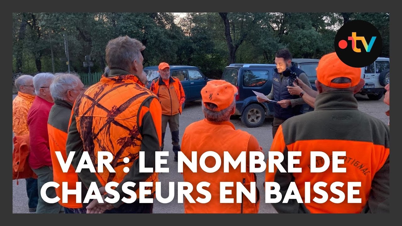Ouverture de la chasse :  si le gibier est bien l&agrave;, le nombre de pratiquants est lui en baisse