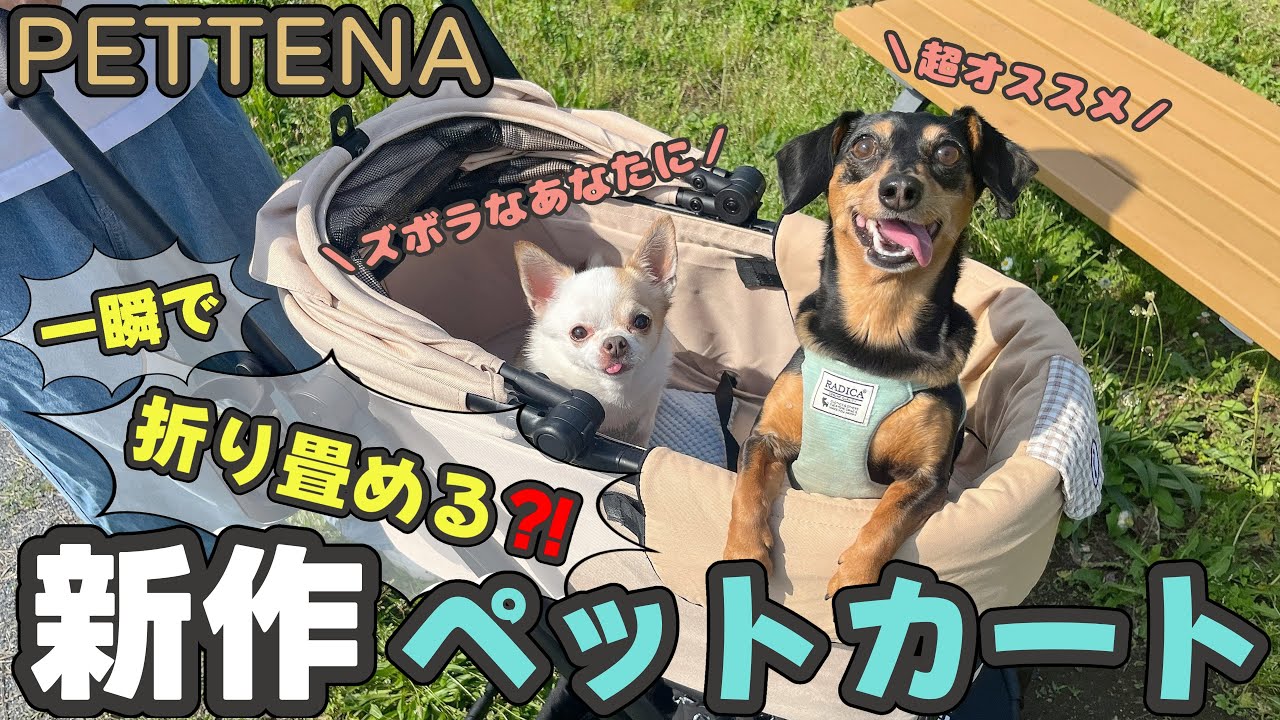 【PETTENA】可愛いさと便利さを兼ね備えた新作ペットカートが最強すぎた