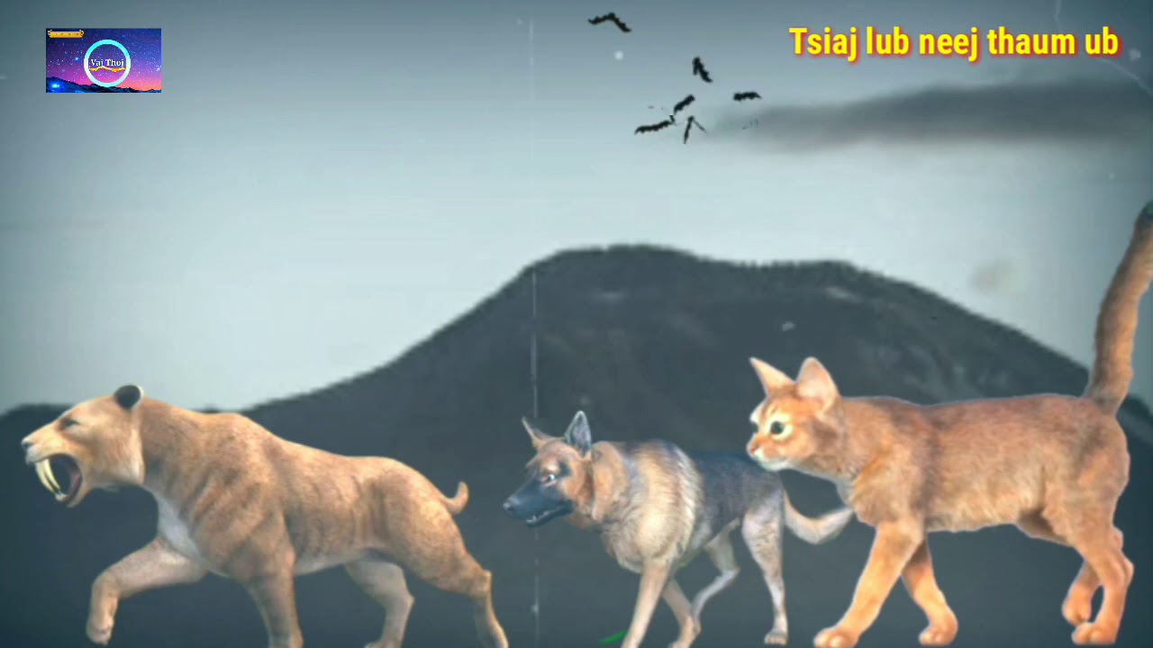 Tsiaj lub neej thaum ub