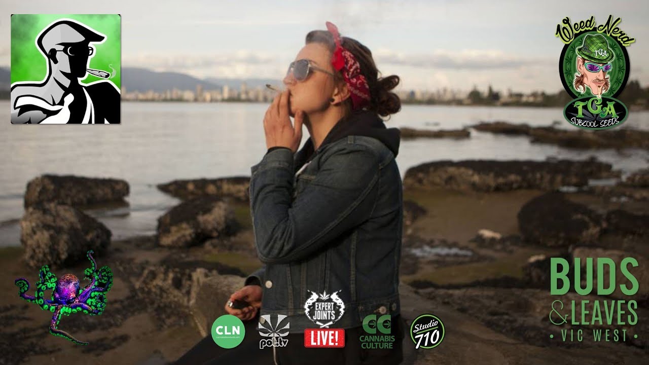 Expert Joints LIVE!: Straight Goods