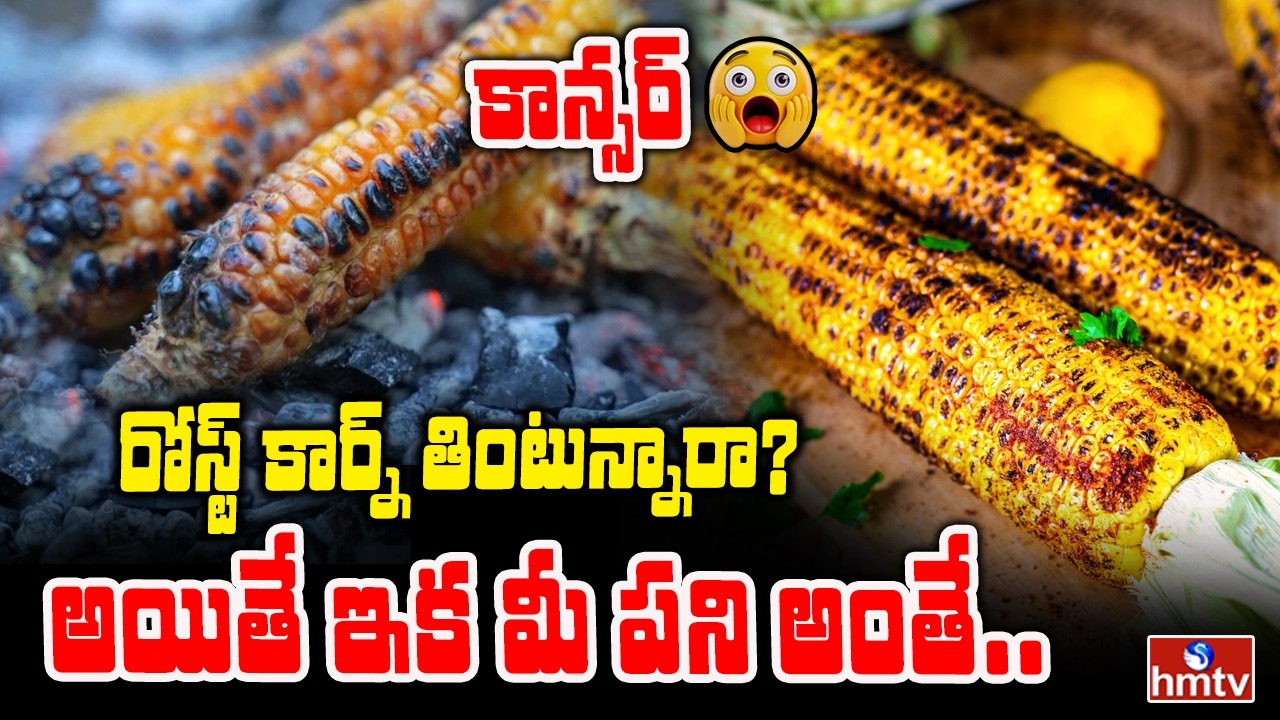 To The Point : రోస్ట్ కార్న్ తింటున్నారా?క్యాన్సర్ రిస్క్ ఉందా? | Causes Of Roast Corn | hmtv