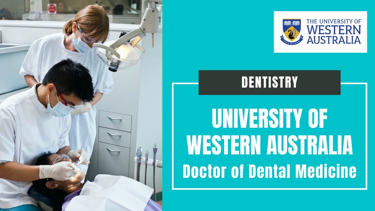 Dental School: Studying Dentistry at the University of Western Australia