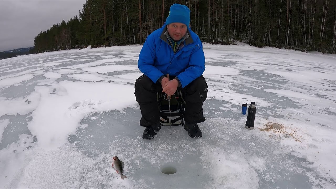 Abborfiske på isen