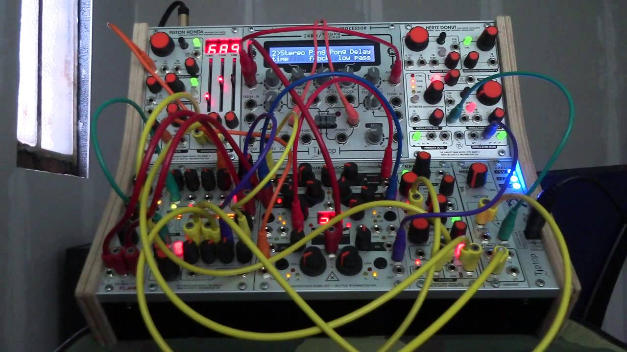 harvestman.MP4