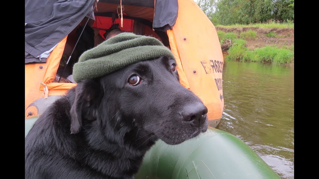 Сплав по Днепру Жлобин- Речица. Вelarus rafting. Water trips. Belarus water tramps. River adventure