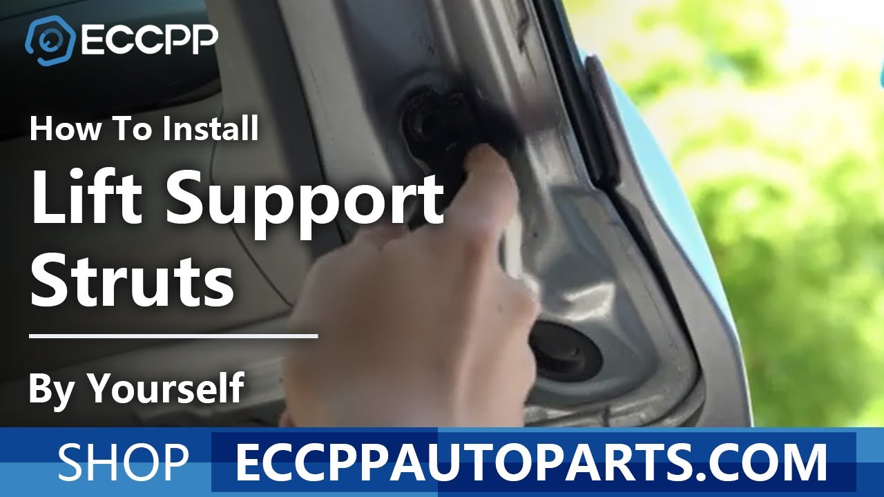 How To Install lift Support Struts By Yourself