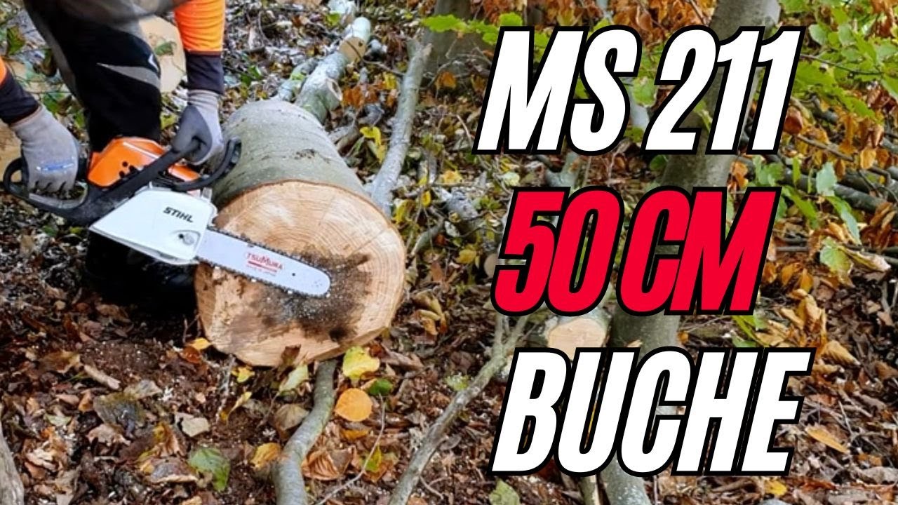Stihl MS 211 💪 Kraftzwerg  | 30cm Tsumura VM | Meterstücke