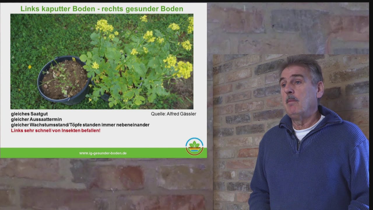 Vielfältige Fruchtfolgen=Grundlage hoher Bodenfruchtbarkeit-C. Felgentreu;25. Brandenburger Düngetag