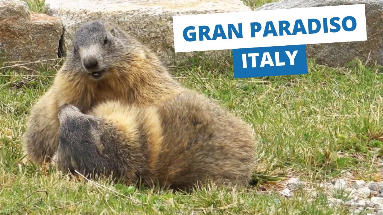 Colle del Nivolet, Italy's Alpine Wonderland