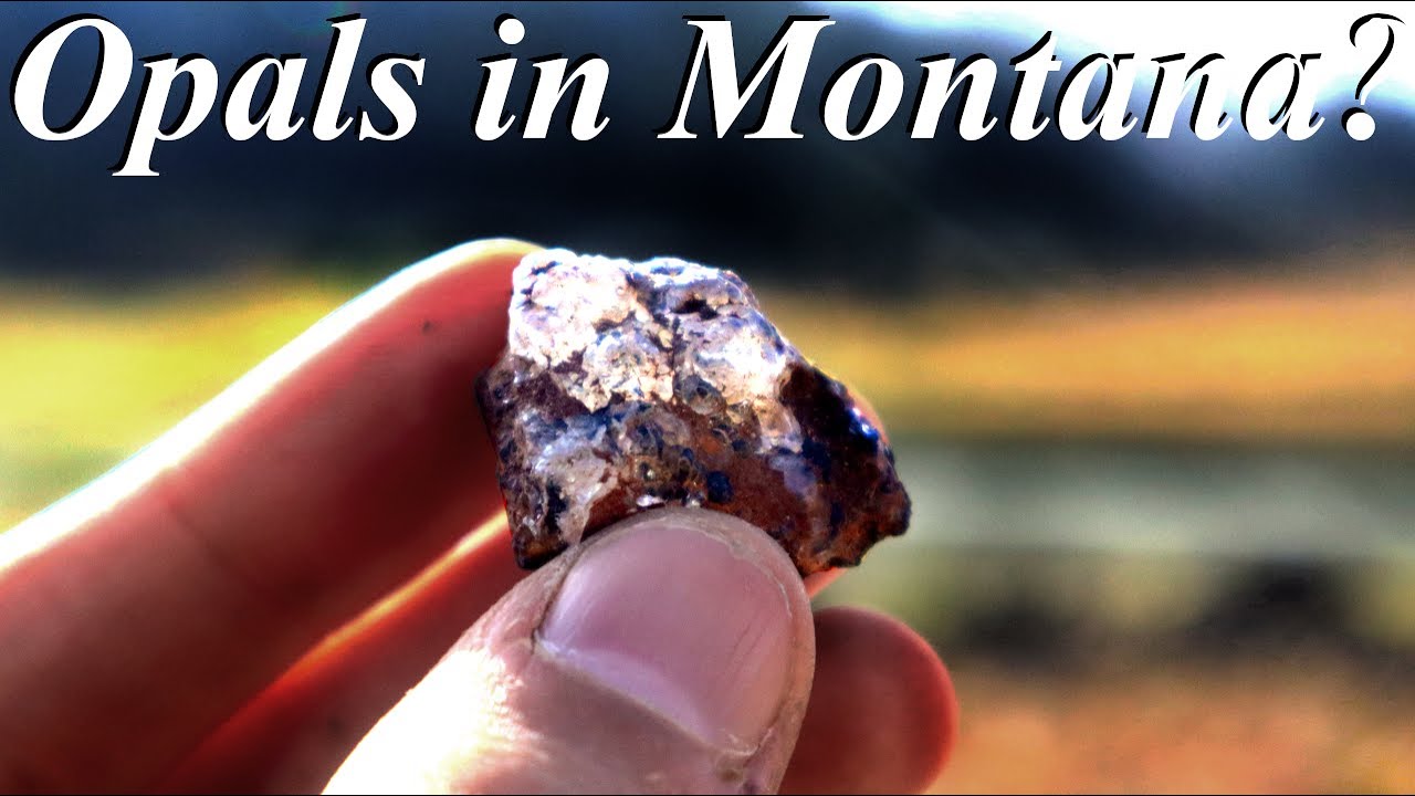 We Found OPALS In Montana Mountains! Hiking 10 Miles for Hyalite Opal with Derek the Rock Master!