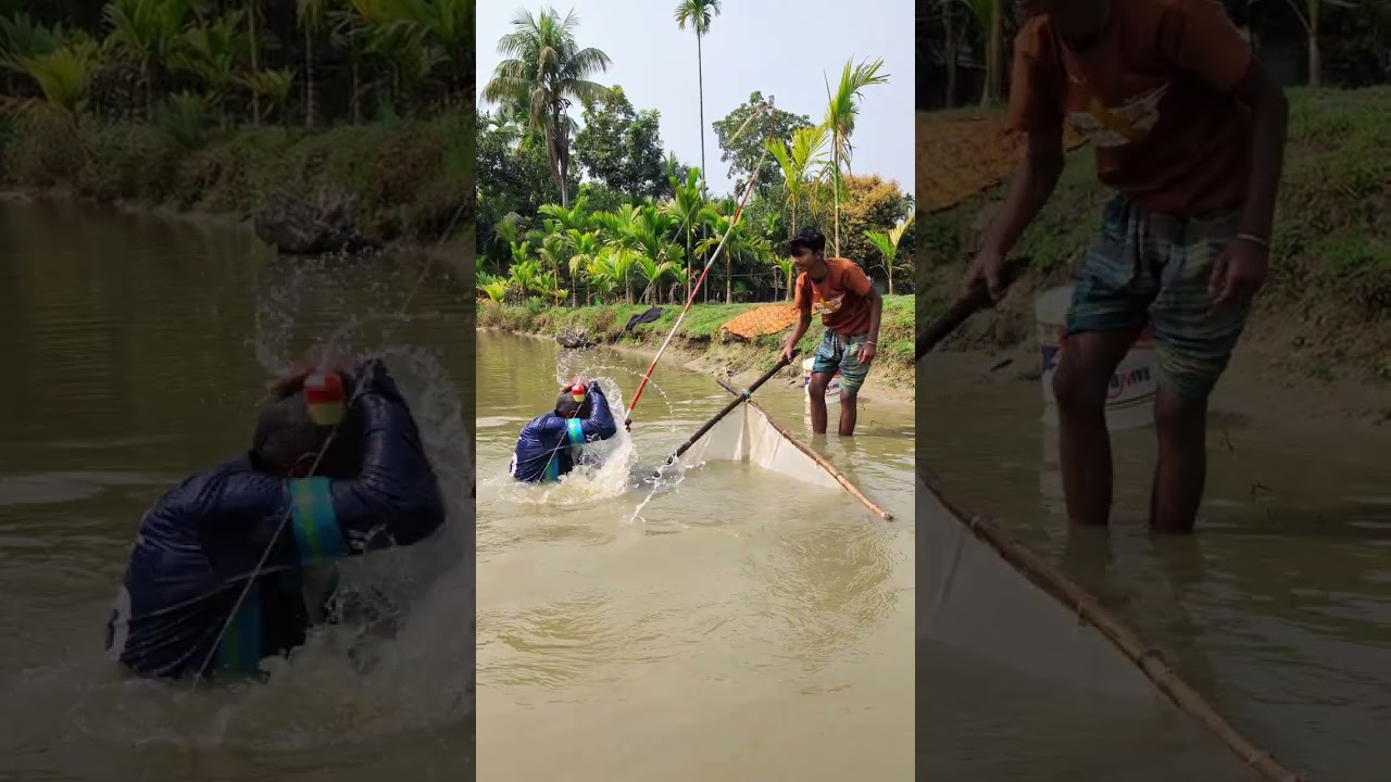 পুকুর থেকে বড় মাছ ধরলো। 