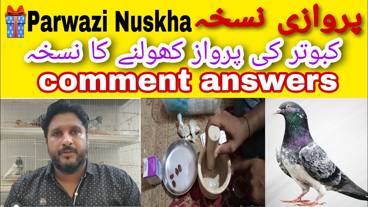 🎁Nuskha Parwazi پروازی نسخہ Parwaz Kholne Ka|Kabootar