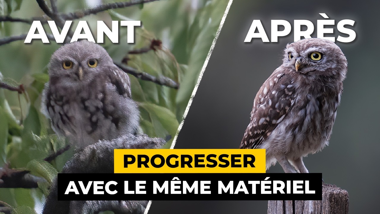 AMÉLIOREZ vos photos SANS changer de matériel !