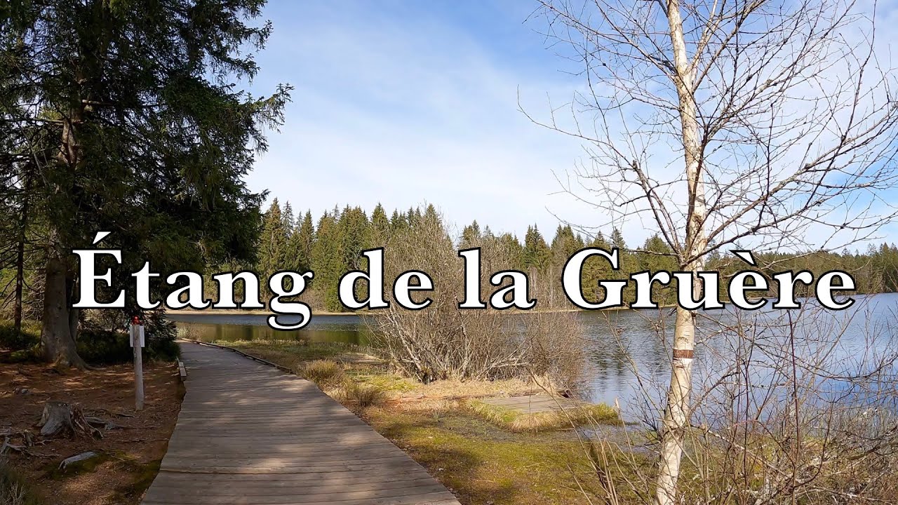 Étang de la Gruère: A Virtual Escape Into Nature