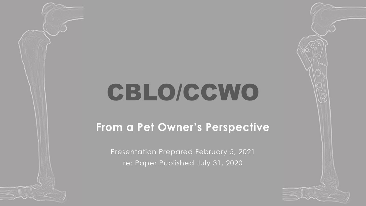 CBLO/CCWO - CORA Based Leveling Osteotomy - Cruciate Surgery in Dogs: Client Perspective (Paper 4)