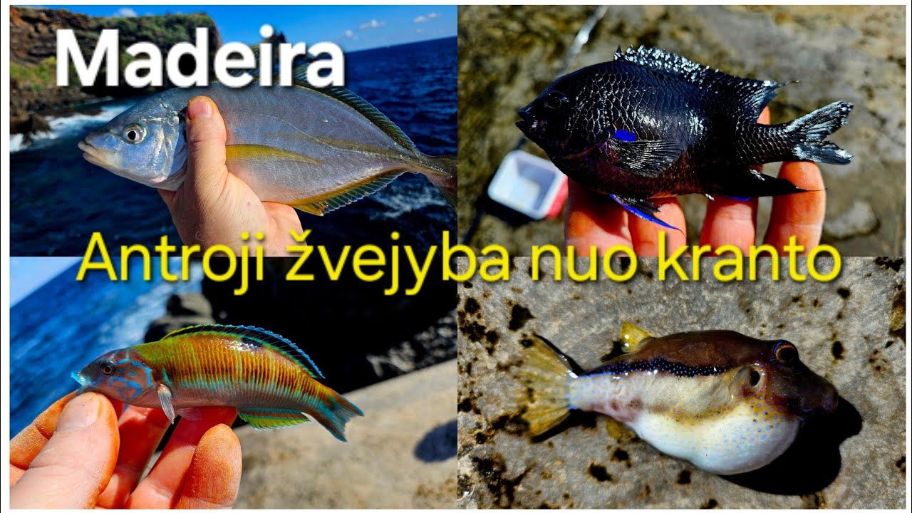 Madeira. Antroji žvejyba. Puikus kibimas. Penkios naujos žuvų rūšys į asmeninę žvejo istoriją💪👍💪