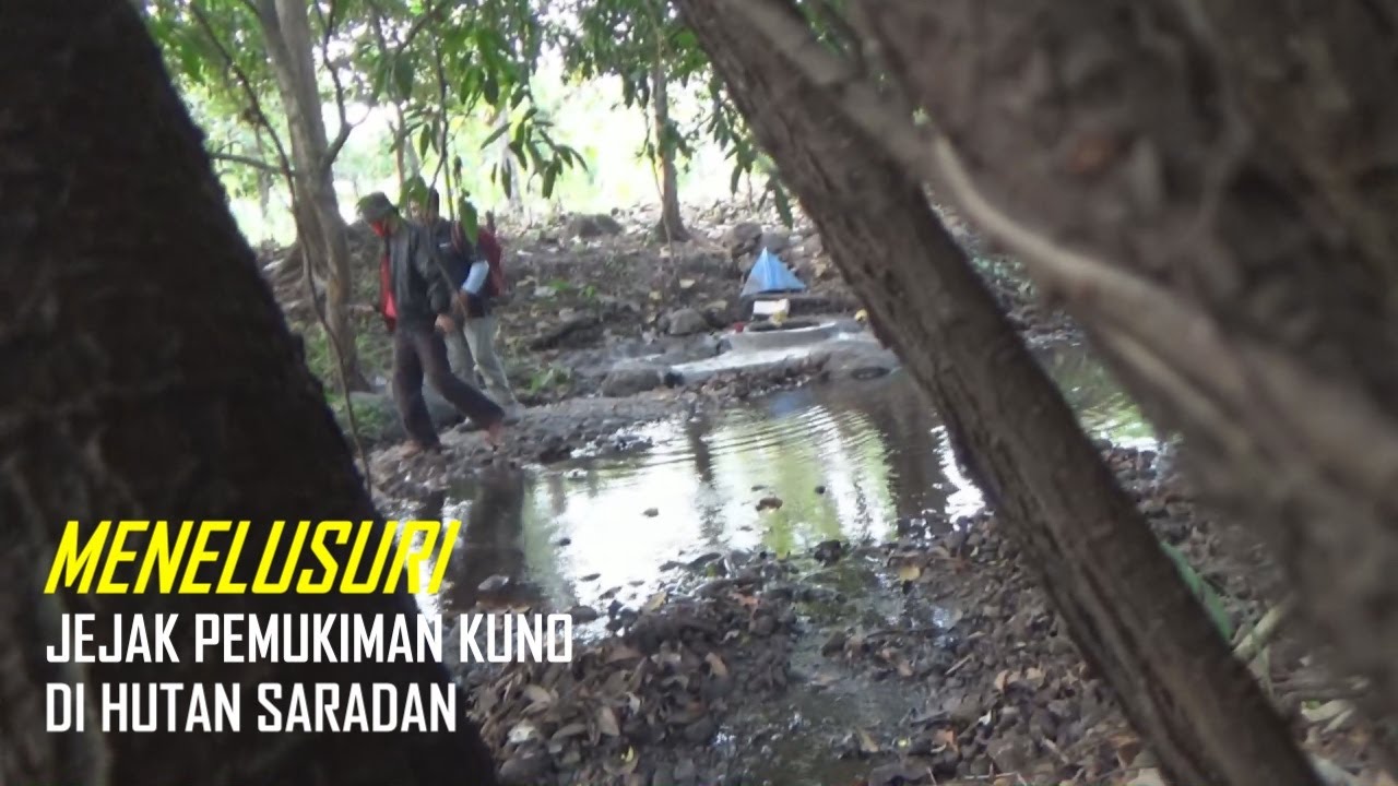 Ditemukan Jejak Pemukiman Kuno Era Majapahit Di Hutan Saradan