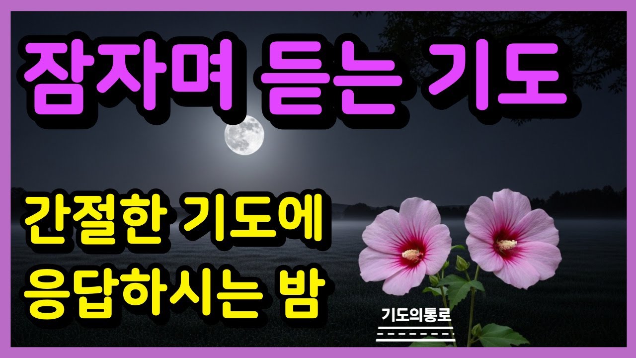 잠자며 듣는 기도ㅣ간절한 기도에 응답하시는 밤ㅣ잠들기 전 기도ㅣ하루를 마무리하는 기도ㅣ자면서 듣는 기도ㅣ밤기도
