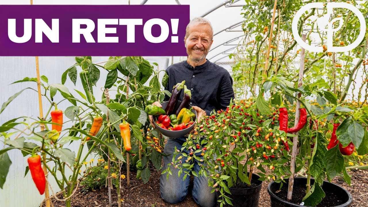 Cultivando Hortalizas de Calor en Climas Fríos: Guía Práctica