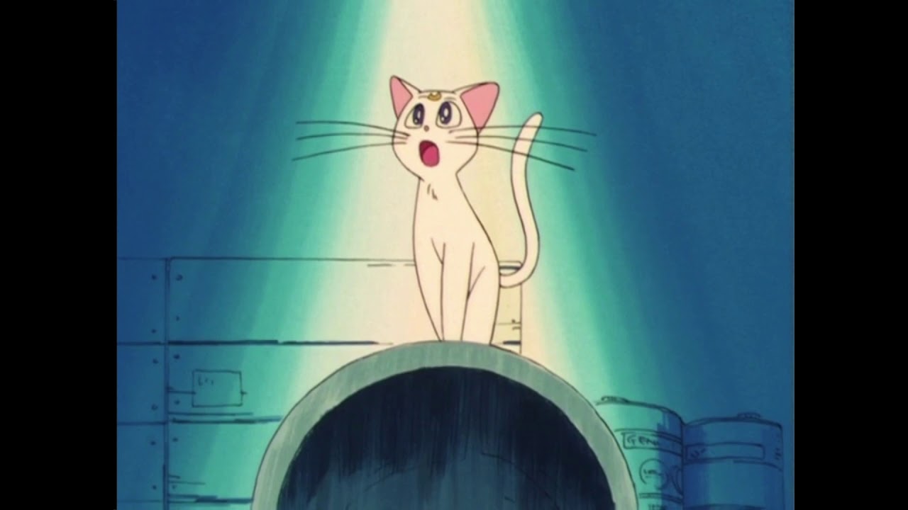 Sailor V fakes the scene [Dub Comparison]