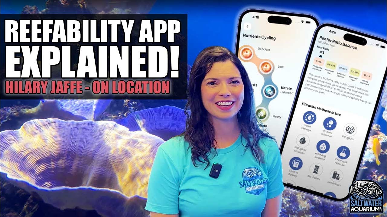 Reefability: The AI App Every Reef Tank Owner Needs | Hilary on Location