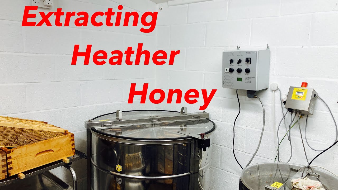 Swales Honey- Extracting Heather Honey