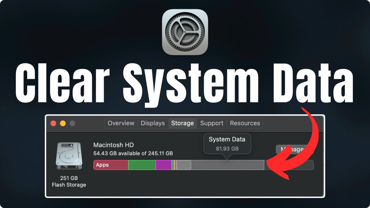 How to clear SYSTEM Data Storage on Your Mac (Quick Fix)