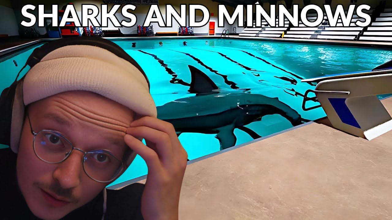 SHARKS AND MINNOWS