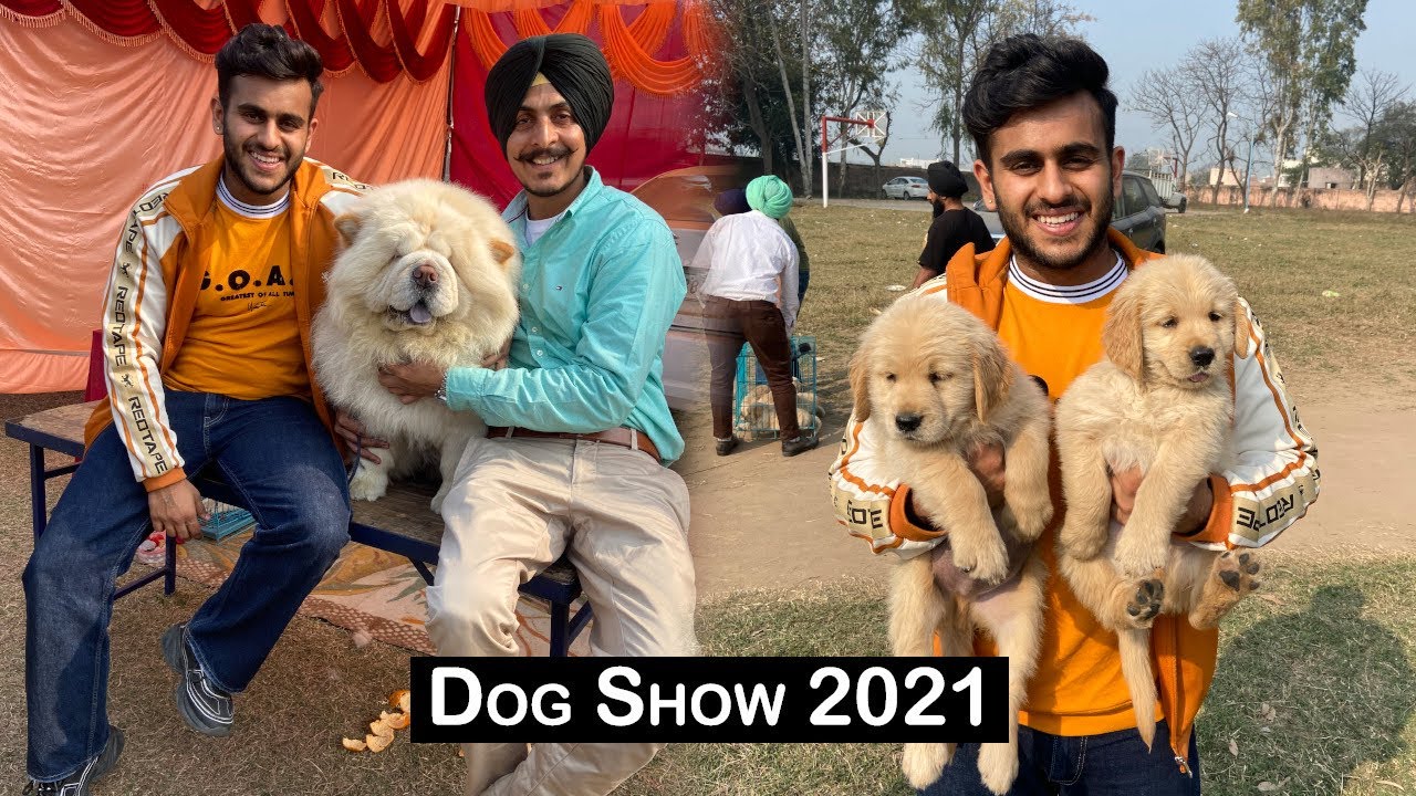 International dog show | Patiala dog show 2021